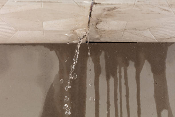 Professional Water Damage Repair technician working in Lemon Springs, NC